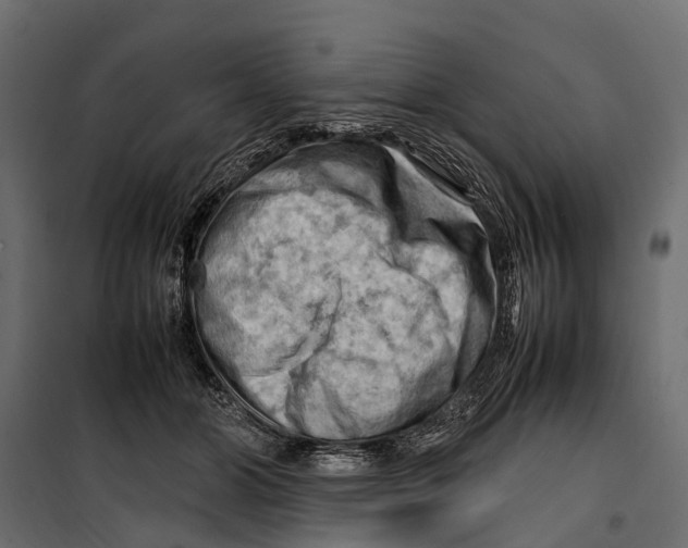 X0000099980510200806201429