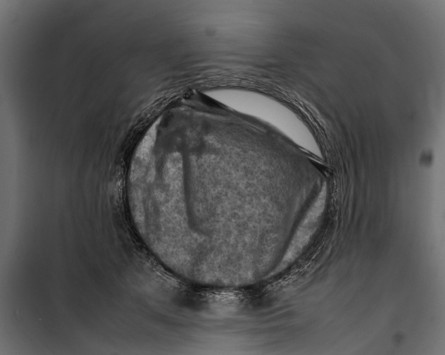 X0000099980513200806201429