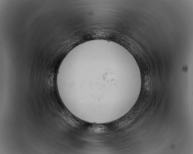 X0000099980514200806201429