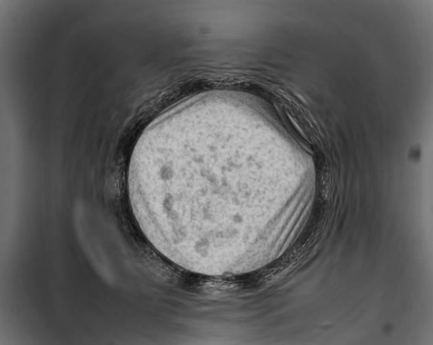 X0000099980515200806201429