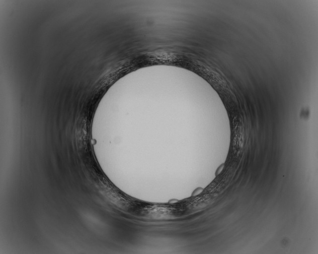 X0000099980518200806201429