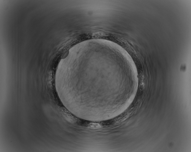 X0000099980519200806201429