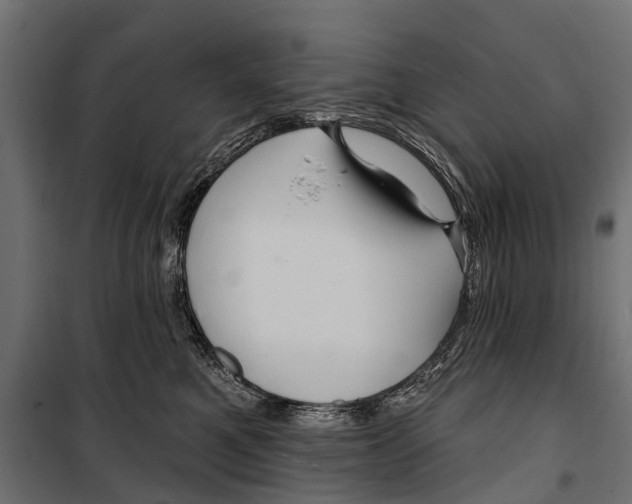 X0000099980521200806201429