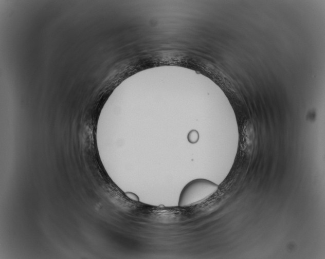 X0000099980522200806201429