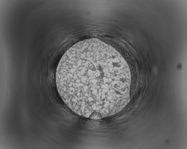 X0000099980523200806201429