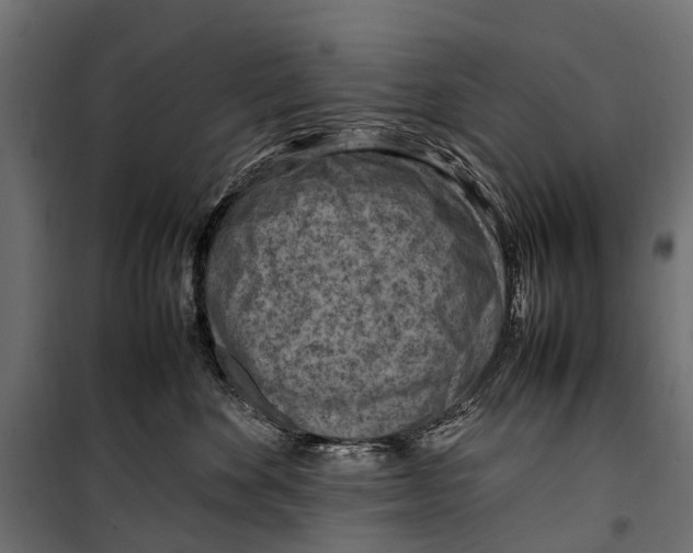 X0000099980524200806201429