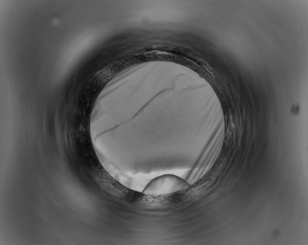 X0000099980526200806201428