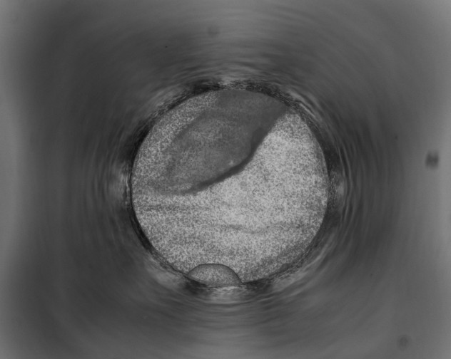 X0000099980527200806201428