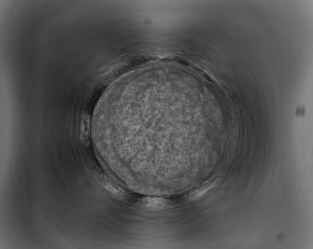 X0000099980528200806201428