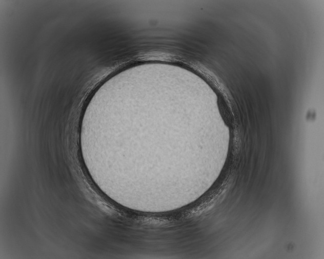 X0000099980529200806201428