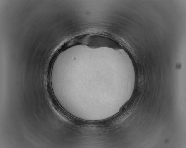 X0000099980530200806201428