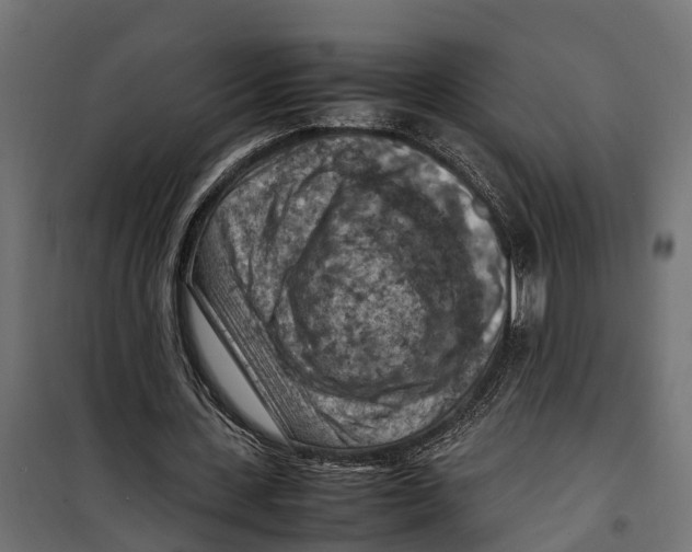 X0000099980531200806201428