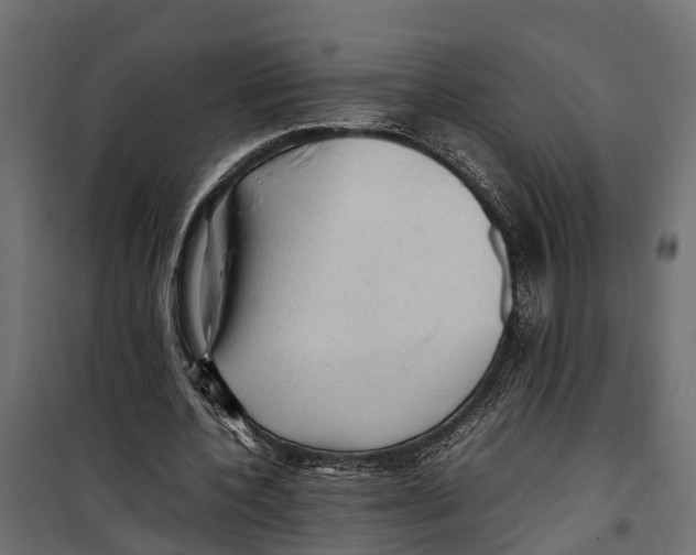 X0000099980532200806201428