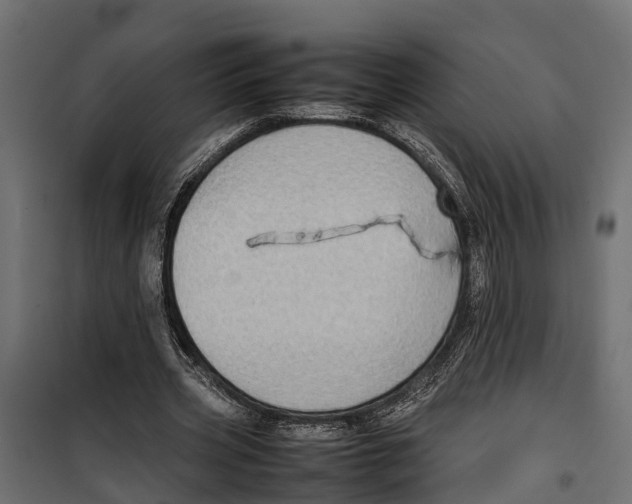 X0000099980533200806201428