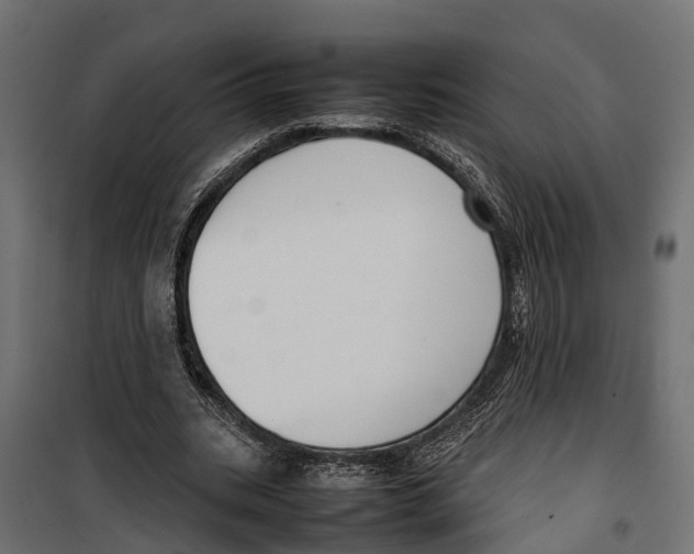 X0000099980535200806201428