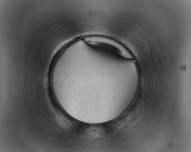 X0000099980536200806201428