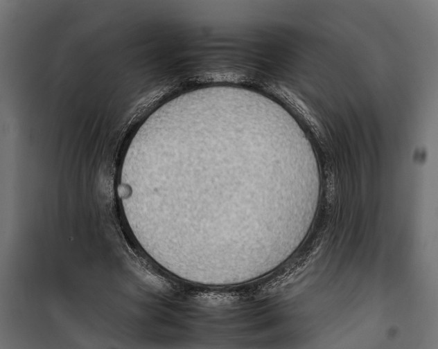 X0000099980537200806201428