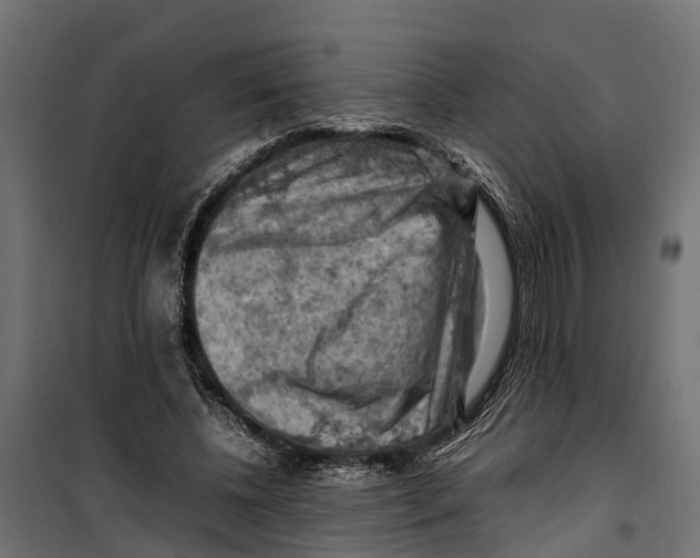 X0000099980540200806201428