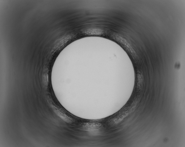 X0000099980541200806201428