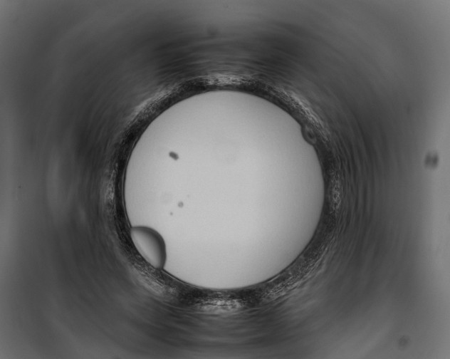 X0000099980543200806201428