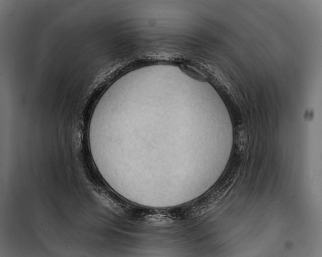 X0000099980544200806201428