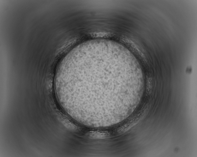 X0000099980545200806201428