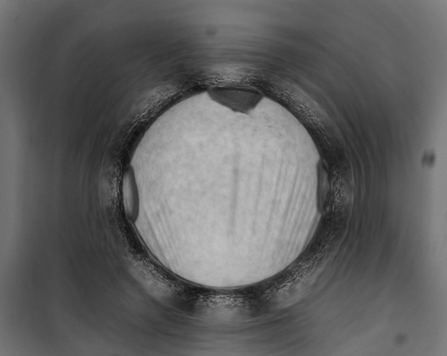 X0000099980546200806201428