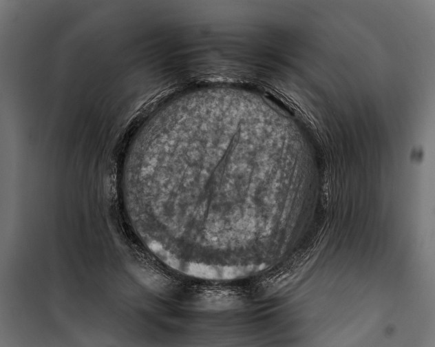 X0000099980547200806201428