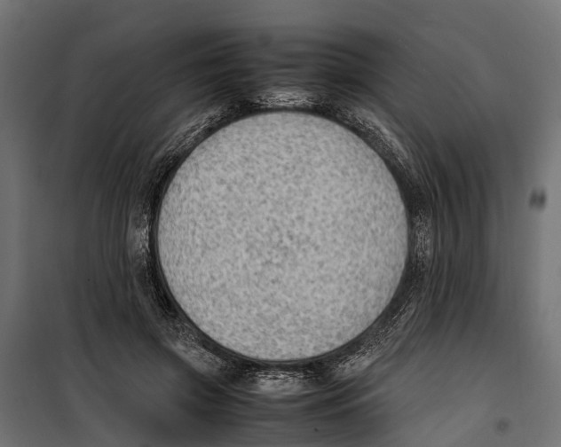 X0000099980549200806201428