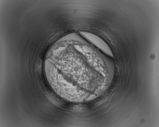 X0000099980550200806201428