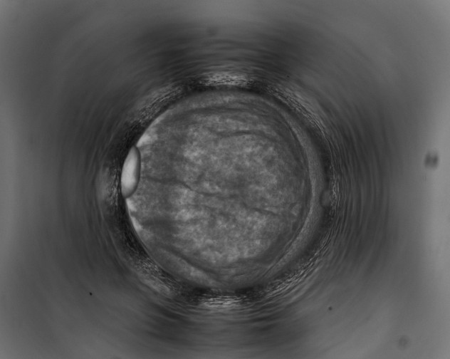 X0000099980551200806201428