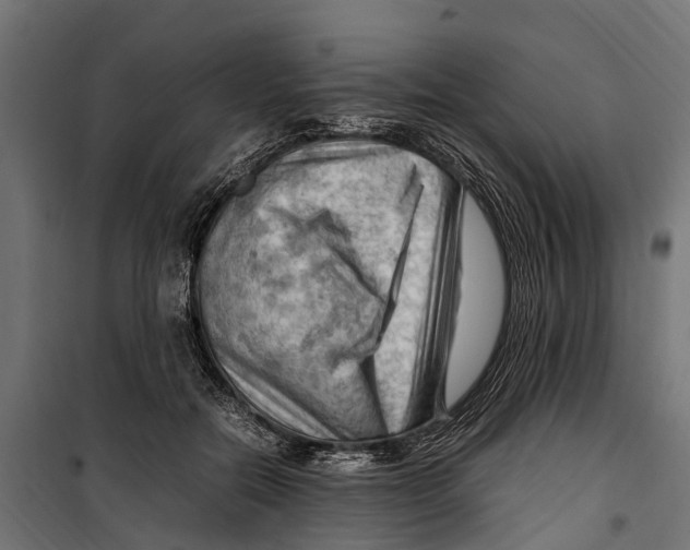 X0000099980554200806201428