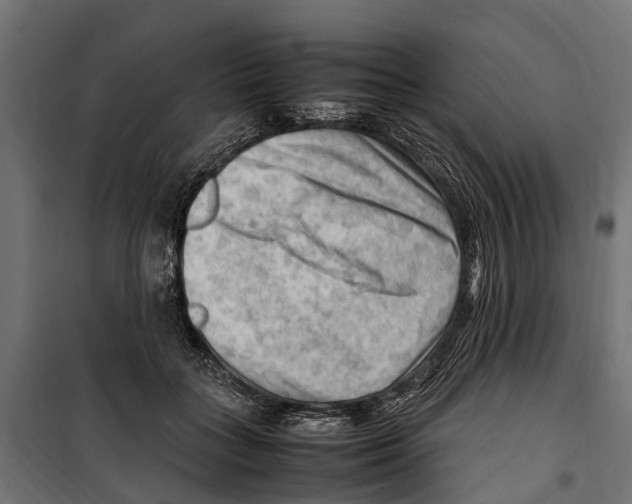 X0000099980555200806201428