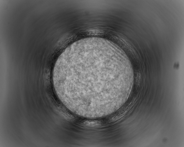 X0000099980557200806201428