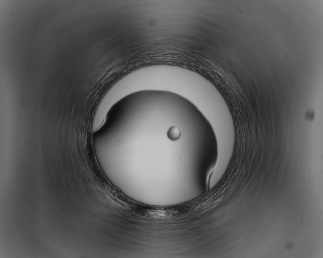 X0000099980558200806201428