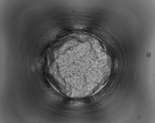 X0000099980559200806201428