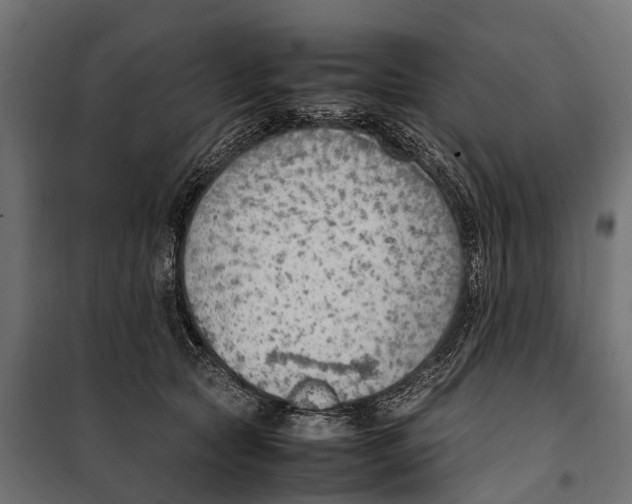 X0000099980561200806201428