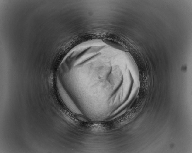 X0000099980562200806201428