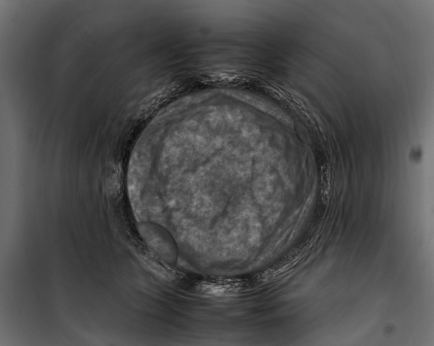 X0000099980563200806201428