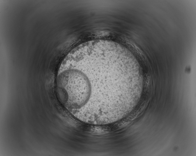 X0000099980565200806201428