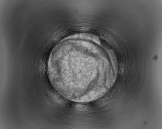 X0000099980568200806201428