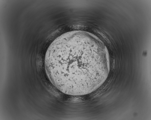 X0000099980569200806201428