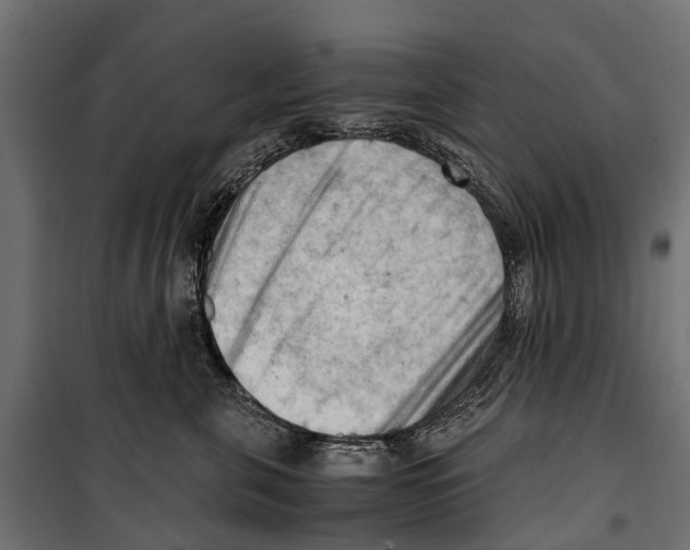 X0000099980571200806201428