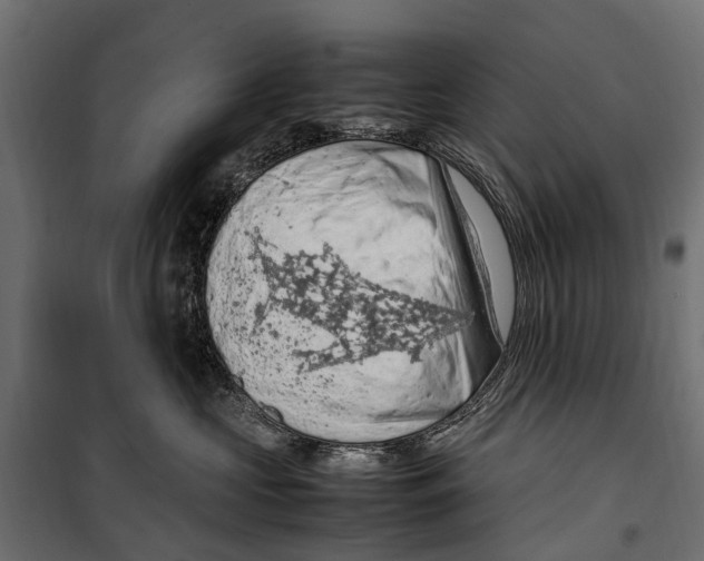 X0000099980573200806201428