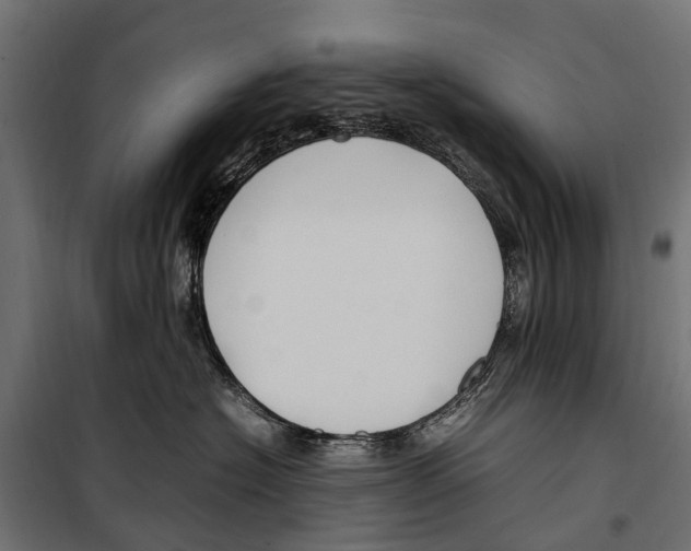 X0000099980574200806201428