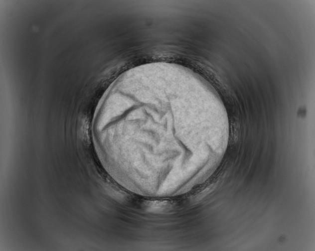 X0000099980575200806201428