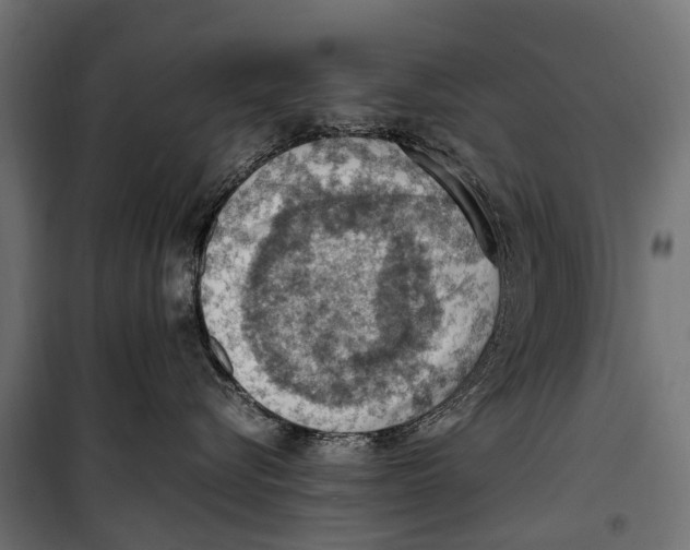 X0000099980576200806201428