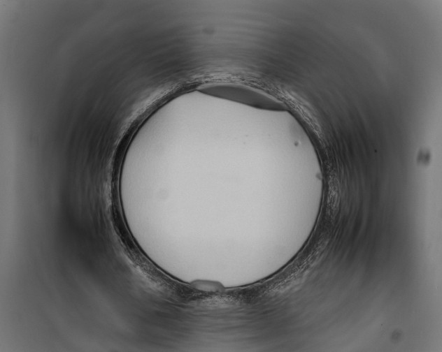 X0000099980578200806201428