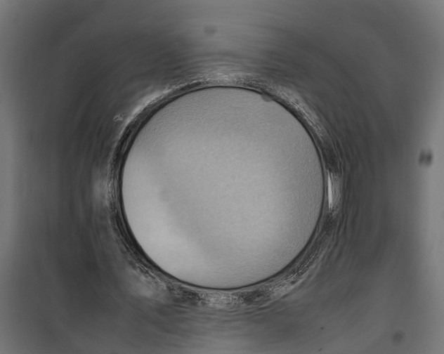 X0000099980579200806201428