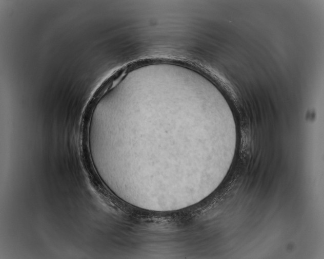 X0000099980580200806201428